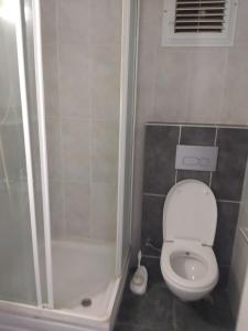 ein kleines Bad mit einem WC und einer Dusche in der Unterkunft Rainfort turizm sanayi ve ticaret ltd şti in Denizli