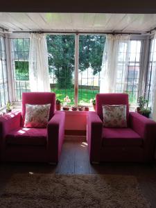 a living room with two purple chairs and a large window at Zeus Bungalow in Kotagiri