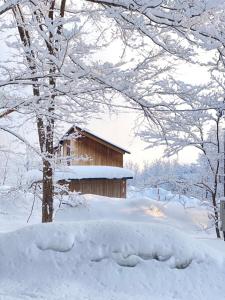 a house covered in snow next to a tree at Furano Peak in Furano