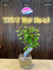 une plante dans un vase en verre assis sur une table dans l'établissement Thuy Van Hotel, à Vung Tau