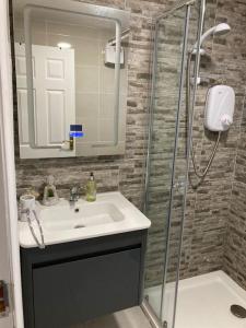 a bathroom with a sink and a shower at Burren 1 Bed Detached Guesthouse in Galway
