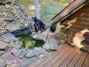 Gallery image of VERY private, real log cabin with hot tub! in Sevierville