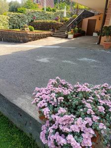 Zahrada ubytování Villa Sant'Andrea