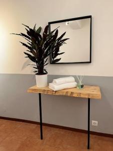 una mesa con un espejo y una maceta en ella en 2-bedroom flat in the heart of Bergamo city centre, en Bérgamo