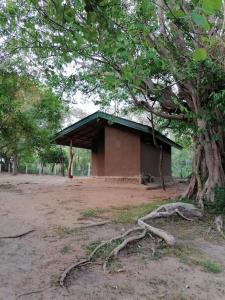 a building in the middle of a field with trees at Clay Hut Village in Polonnaruwa