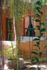 a building with a window and some plants in front of it at Clay Hut Village in Polonnaruwa