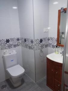 uma casa de banho com um WC, um chuveiro e um lavatório. em Apartamento El Prado em Almazán