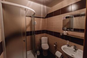 a bathroom with a shower and a toilet and a sink at Toga cottage in Yablunytsya +32 photos