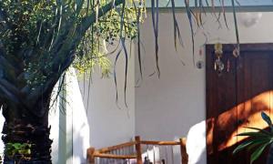 Fotografie z fotogalerie ubytování Villa spa Grand Anse v destinaci Petite Ile