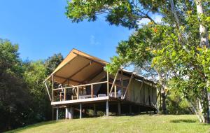 Mount Burrell的住宿－Silk Pavilions Glamping，一座建在山顶的树木上的房子