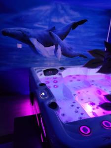 two dolphins swimming in the water next to a game controller at Effet Mer, 4 etoiles, gîte de 80m2 in Dorlisheim