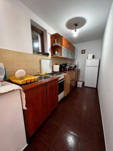 una cucina con mobili in legno e un frigorifero bianco di Vila Ioana a Râu de Mori