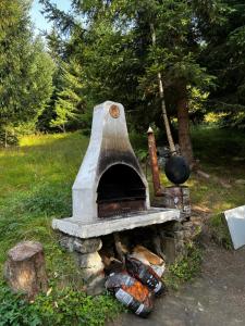 a stone oven is sitting in a field at Vila Ioana in Râu de Mori