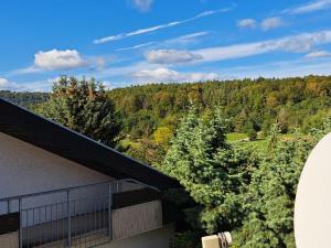 a view from the roof of a building with trees at Ferienwohnung 29 in Kreuzwertheim