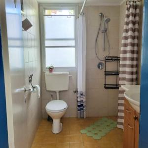 a bathroom with a toilet and a window and a shower at בית פרומן in Moledet