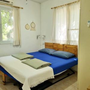 1 dormitorio con 2 camas con sábanas azules y ventana en בית פרומן, en Moledet