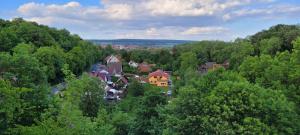 Vue aérienne d'une ville au milieu d'une forêt dans l'établissement Zum Unstrut Radler, 