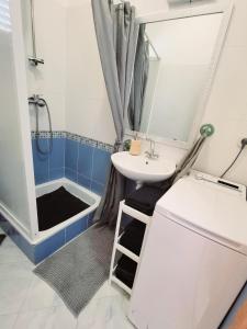 La petite salle de bains est pourvue d'un lavabo et d'une douche. dans l'établissement Apartmani Nika, à Slatine