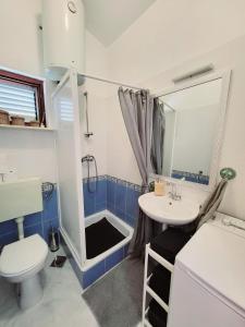 La salle de bains est pourvue d'un lavabo, de toilettes et d'une douche. dans l'établissement Apartmani Nika, à Slatine