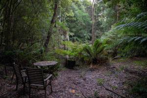 Κήπος έξω από το parkwood cottage