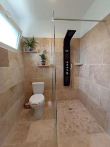 een badkamer met een glazen douche en een toilet bij Charmant gîte indépendant au calme tout confort in Barbaste