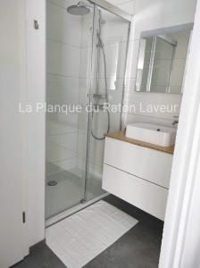 ein Bad mit einer Dusche und einem Waschbecken in der Unterkunft La planque du raton laveur in Lierneux