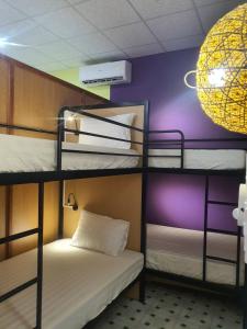 a room with three bunk beds and a purple wall at Abalone House Quy Nhơn in Quy Nhon