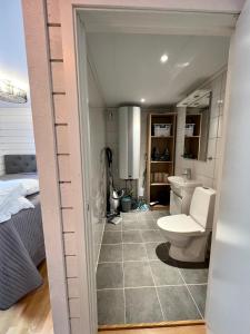 - Baño con aseo en una habitación en Hills Cottage en Gränna