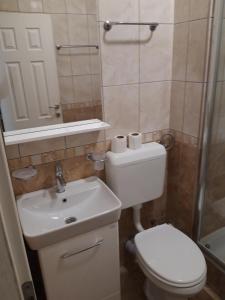 a bathroom with a toilet and a sink and a shower at SIMIKIC Z in Bijeljina