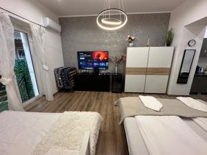 TV a/nebo společenská místnost v ubytování Budapest Garden Apartman
