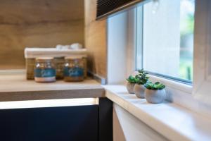 A kitchen or kitchenette at The Grey Apartment
