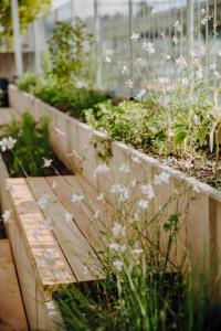 Ein Garten an der Unterkunft Seldas