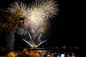 una multitud de personas viendo un espectáculo de fuegos artificiales por la noche en Panorama, en Poole