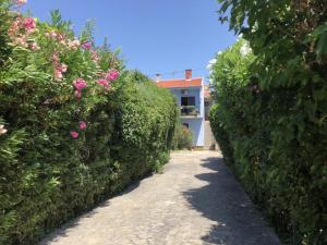 Zdjęcie z galerii obiektu Apartment pool few steps from beach green w mieście Zadar