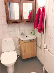 a bathroom with a toilet and a sink and a mirror at Aurora-Center 1 in Rovaniemi +41 photos