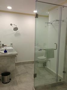 a bathroom with a shower and a toilet and a sink at The Harrington Residency in Kolkata