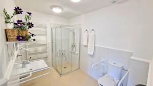 ein Bad mit einer Dusche, einem WC und einem Waschbecken in der Unterkunft Pensjonat Petite Charlotta in Jedlina-Zdrój