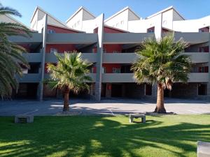 a building with two palm trees in front of it at Beach Hive 2 in Walvis Bay