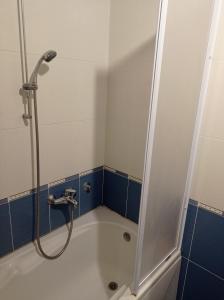 W łazience znajduje się prysznic i wanna. w obiekcie GO 2 Apartment w Belgradzie