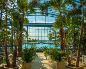 a greenhouse with palm trees and a pool at Suntago Village - Oficjalny nocleg Suntago in Mszczonów