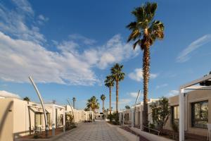 een geplaveide straat met palmbomen en gebouwen bij Desert Iris Hotel in Yeroẖam