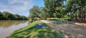 Příroda nedaleko apartmánu