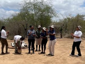 un grupo de personas de pie alrededor en un campo en The Wild Olive Tree Camp, en Manyeleti Game Reserve