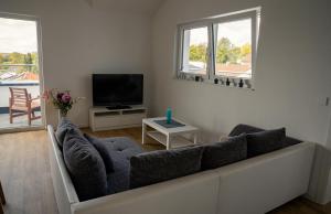 TV a/nebo společenská místnost v ubytování Panorama Suite 20