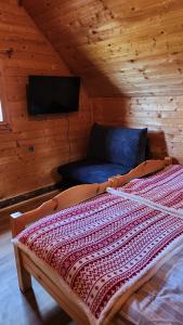 a bedroom with a bed and a tv in a cabin at Urige Waldbienenhütte in Diex
