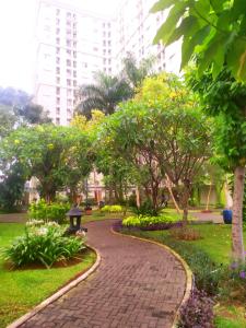 a walkway in a park with trees and a building at Tiny studio with pool, jogging track, gym and Mall in Jakarta