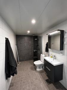 a bathroom with a toilet and a sink and a shower at Uusi upea asunto järvinäköalalla ja autohallilla in Tampere