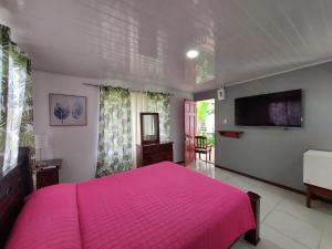 um quarto com uma cama rosa e uma televisão de ecrã plano em Hôtel Pez Gallo em Golfito