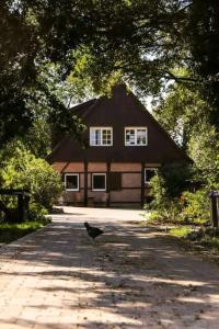 ein Vogel, der vor einem Haus auf einer Straße läuft in der Unterkunft Tinyhouse Zirkuswagen- Kotten Kunterbunt in Nottuln