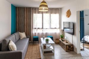 Reve bleu في مونتوبان: غرفة معيشة مع أريكة وتلفزيون
